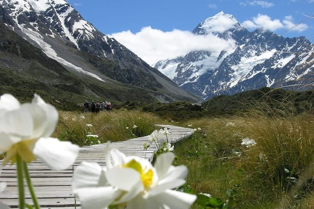 Majestic Mount Cook